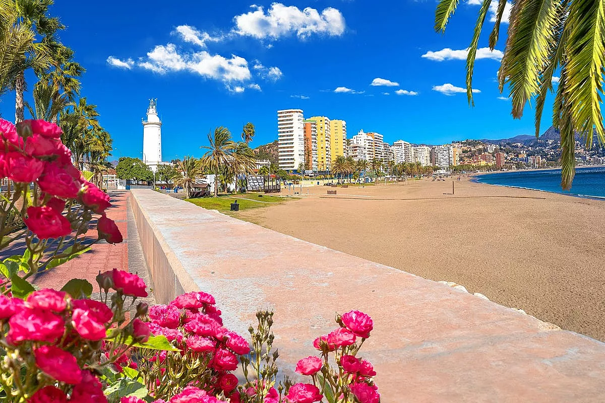 malaga