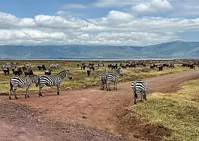 turistipercaso ngoro