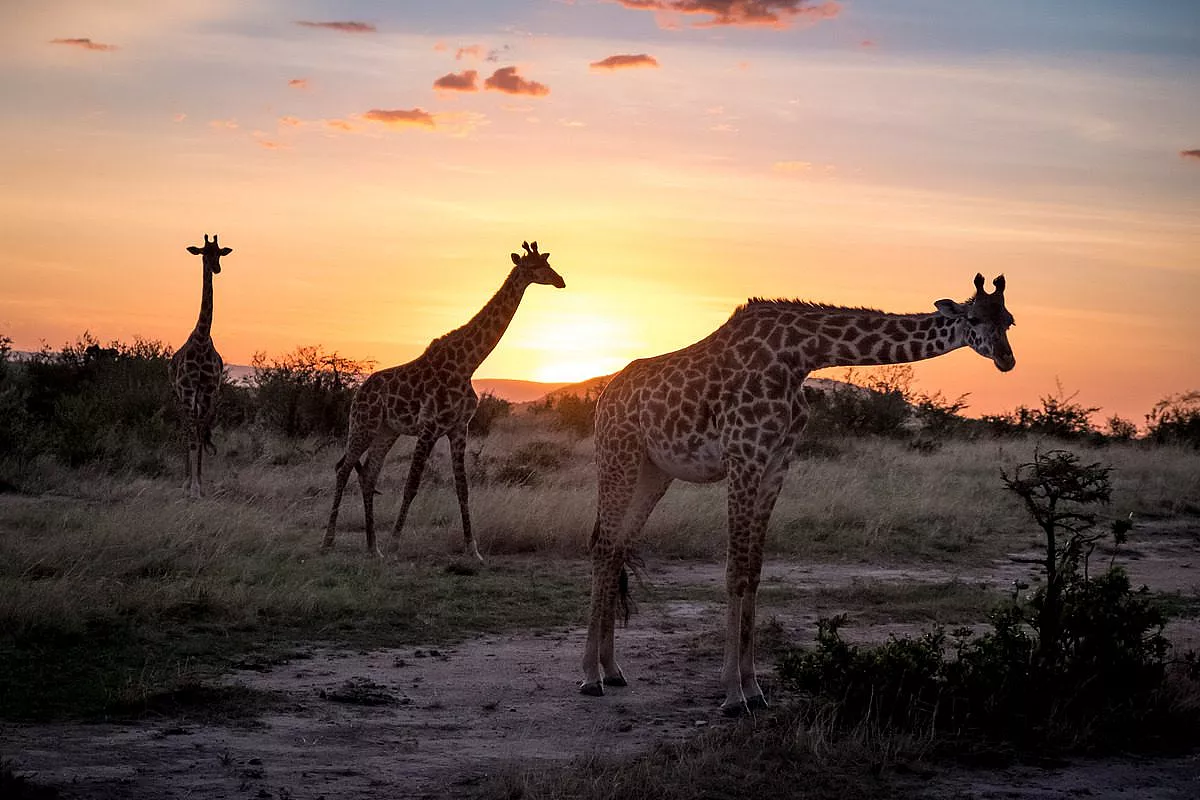 Tanzania