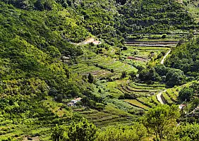 turistipercaso Vallehermoso on Gomera