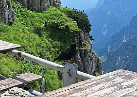 turistipercaso 20240715_1321_TrentVeneto_Edo