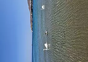 turistipercaso 20240805_145912