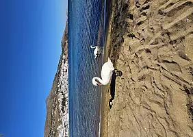 turistipercaso 20240808_173815