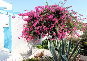 turistipercaso Agios_Georgios_Iraklia_2