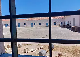 turistipercaso Asinara_1