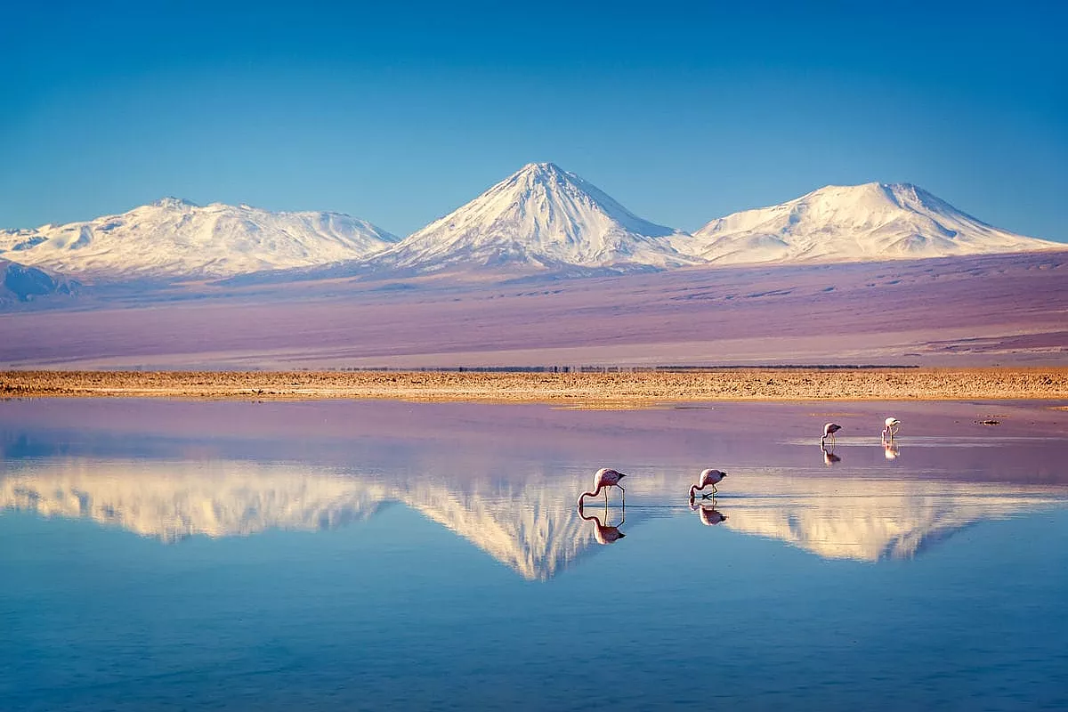 Laguna Chaxa, Ande