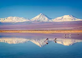 turistipercaso Laguna Chaxa_1446098228