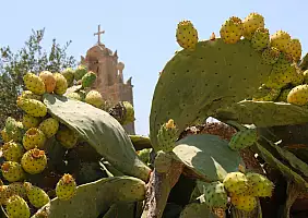 turistipercaso Mesari_Schinoussa