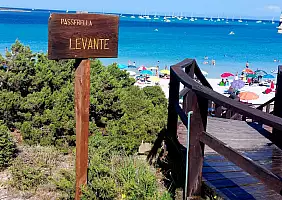turistipercaso Pelosa_spiaggia_4