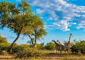 turistipercaso parco nazionale kruger_2281089939