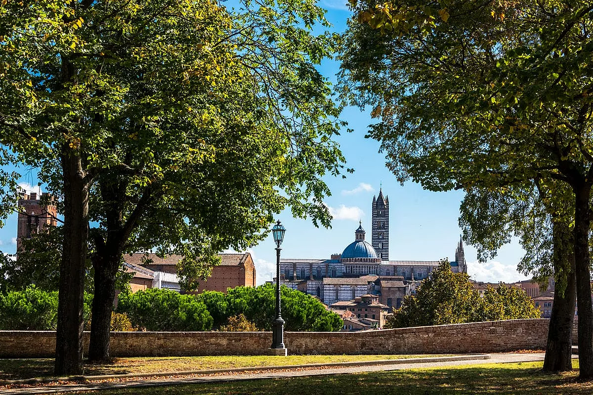 Siena in 1 giorno