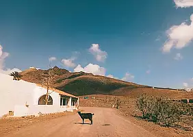 turistipercaso 6539f3_f437bfa5f42c4eee96f1352faa629d33_mv2