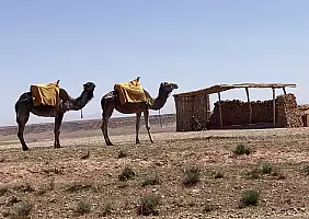 turistipercaso IMG_1249