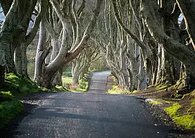 turistipercaso darl hedges_2470831701