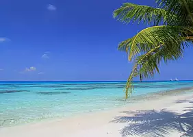 turistipercaso maldives_ari_atoll_dhigurah_isl_beach_orig
