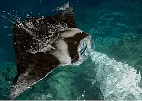 turistipercaso manta