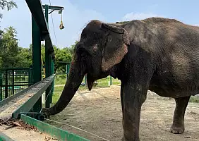 turistipercaso mathura
