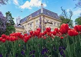 turistipercaso pinacoteca sofia_2296385913
