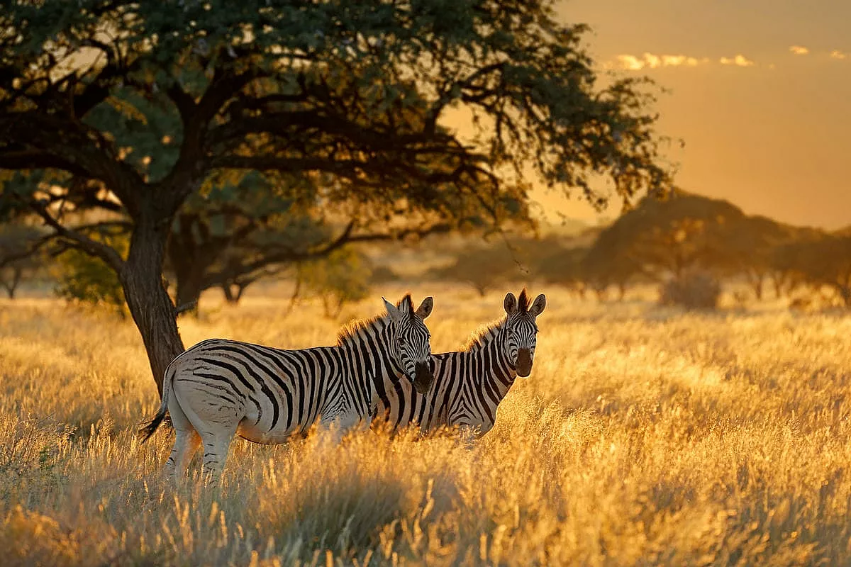 sudafrica