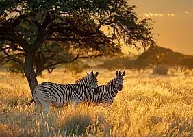 turistipercaso sudafrica_2467073169