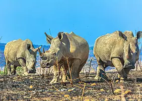 turistipercaso Hulhluwe_2430195957