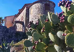 turistipercaso Hum2