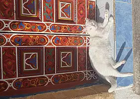 turistipercaso RABAT_MEDINA