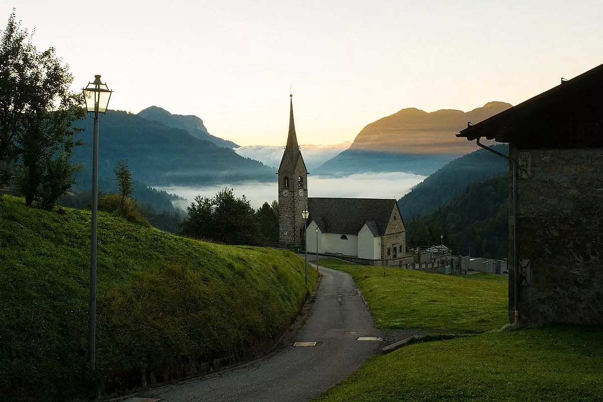 Sauris