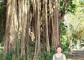 turistipercaso Viaggio_Indonesia2024_3_