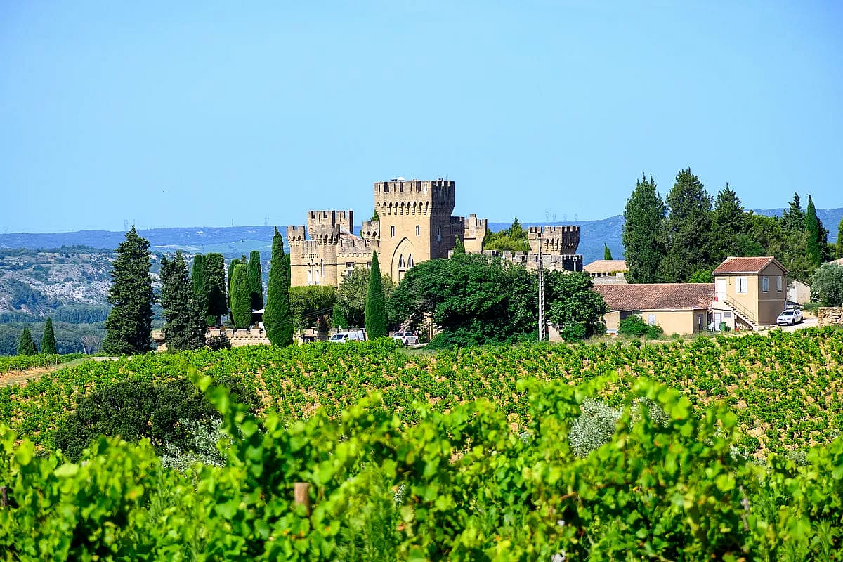 chateneauf du pape