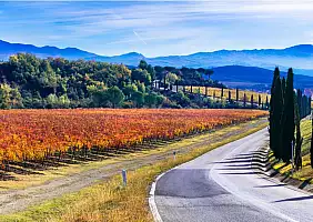 turistipercaso toscana autunno_761350831