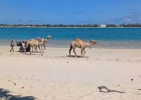 turistipercaso Lamu