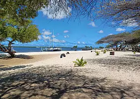 turistipercaso Lamu, Kenya