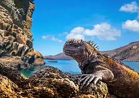 turistipercaso galapagos_2307824121