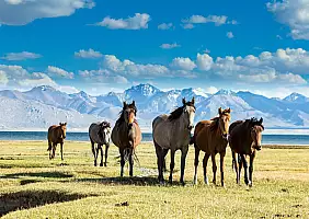 turistipercaso kirghizistan_2394049771