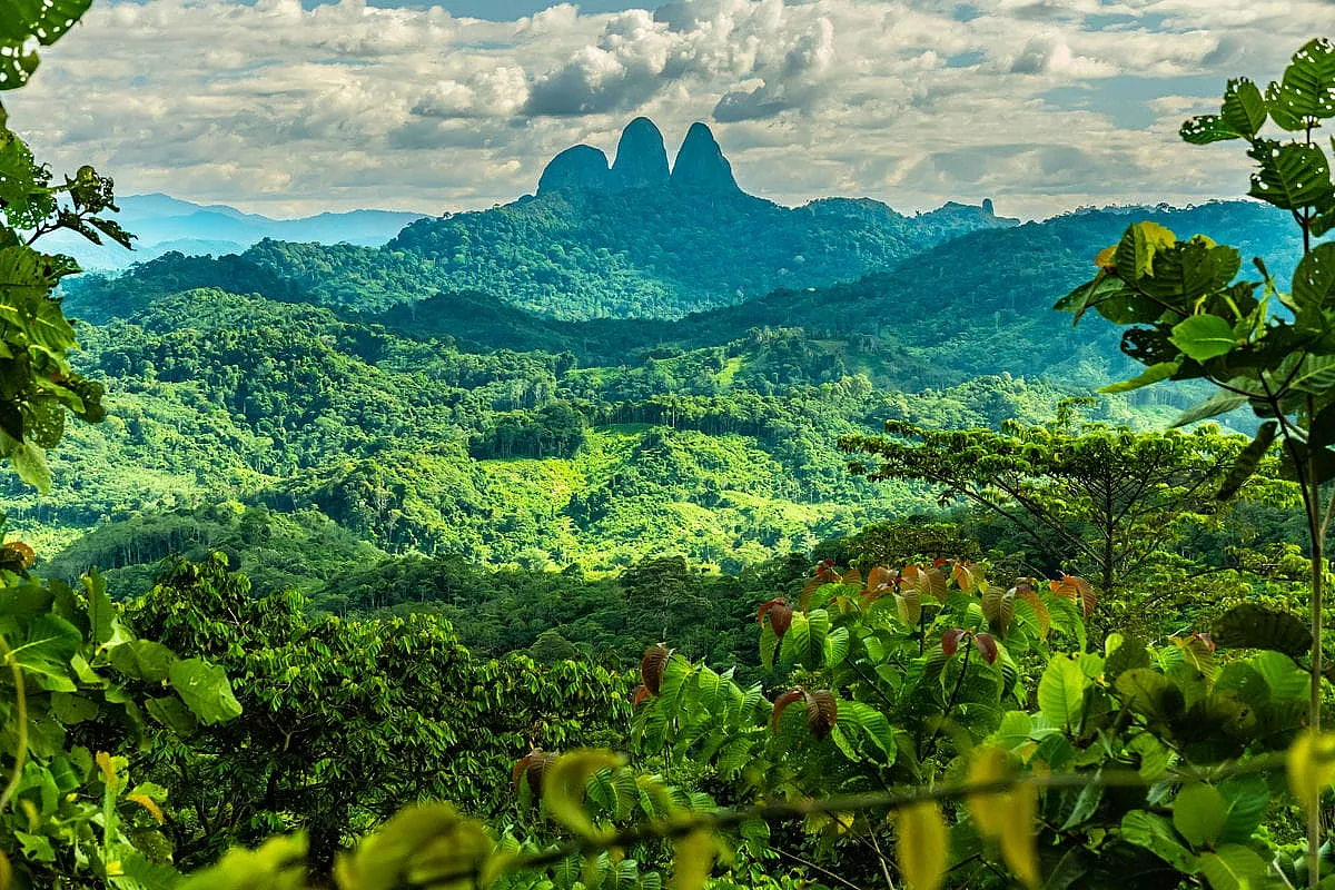 malesia