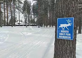 turistipercaso strada_per_renne