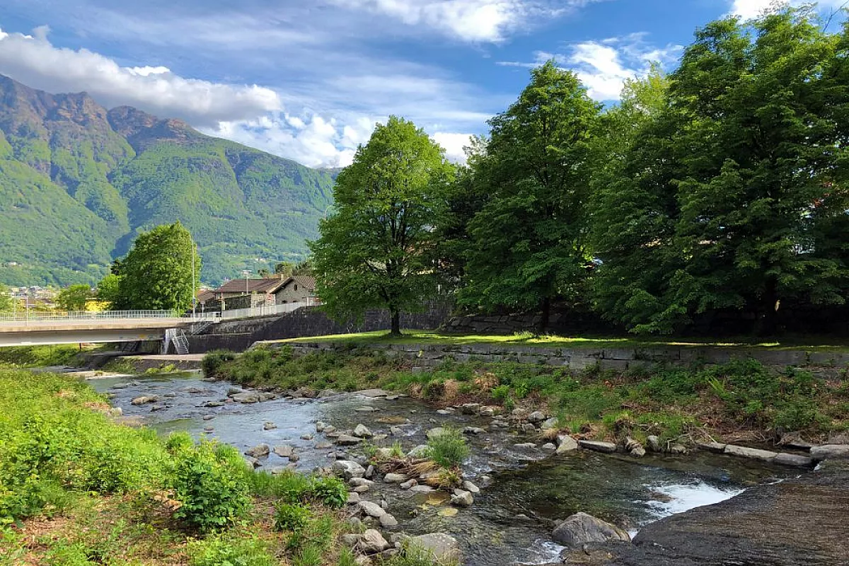 Svizzera