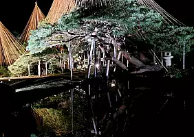 turistipercaso 20241108_190017_4_