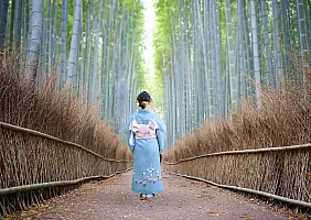 turistipercaso Arashiyama_2495808137