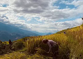 turistipercaso Mu_Cang_Chai_2