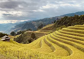 turistipercaso Mu_Cang_Chai_rice_terraces