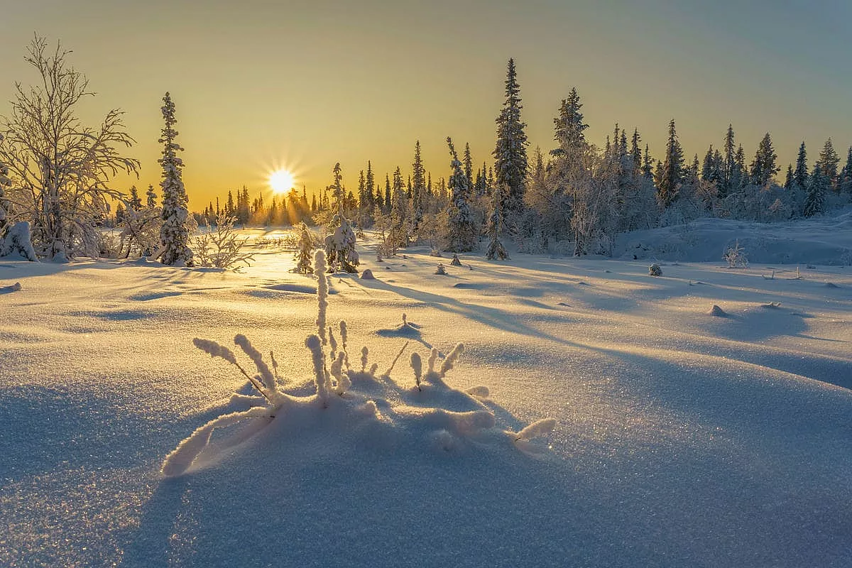 Un paradiso ricoperto di bianco: in Svezia c’è l’incredibile regione che in inverno si trasforma nel regno di Frozen