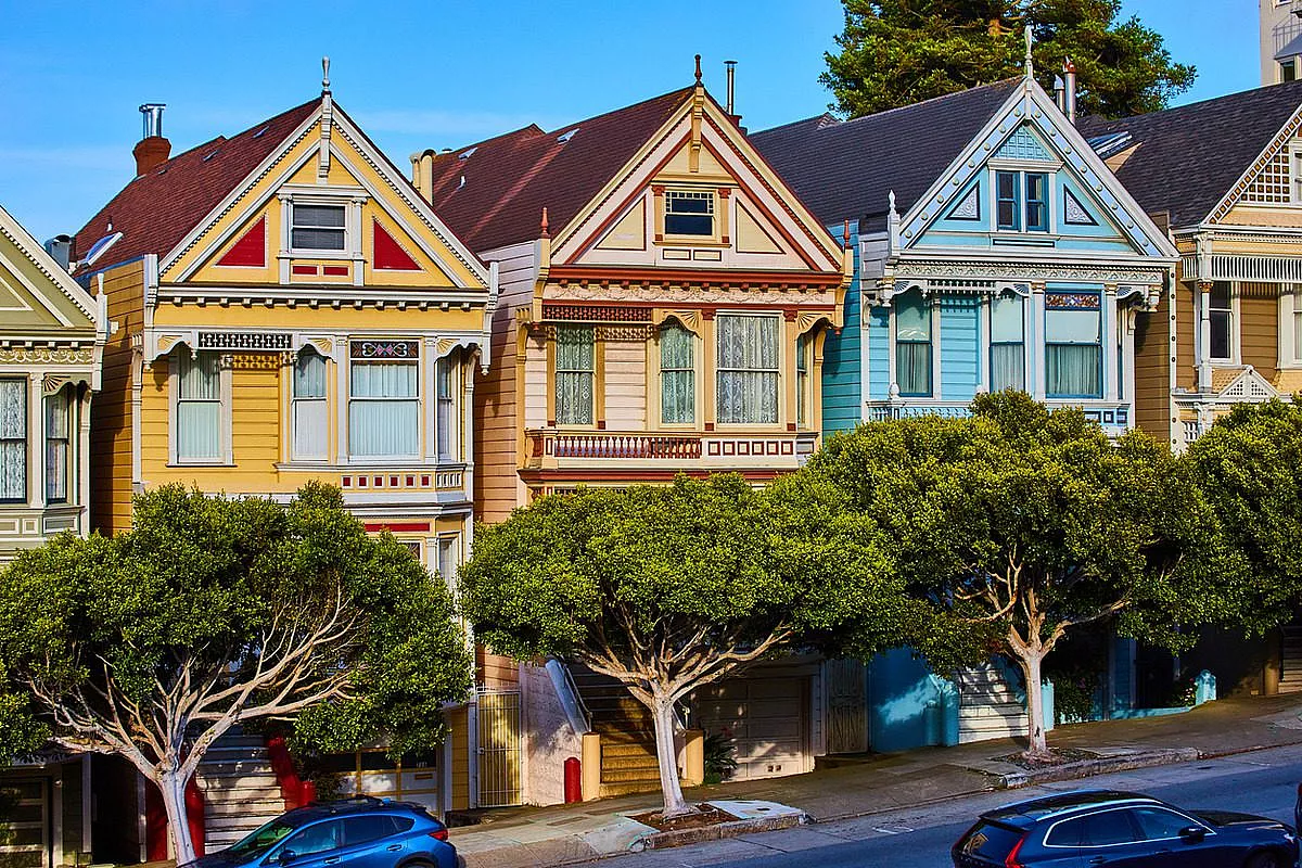 Painted Ladies