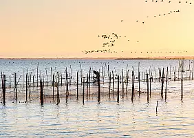 turistipercaso albufera_2108057687