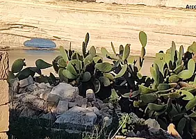 turistipercaso arco_in_formazione