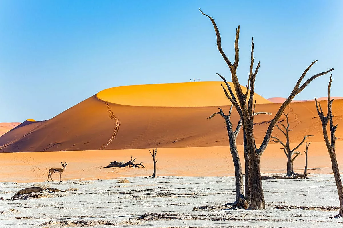namibia