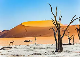 turistipercaso namibia_2485830897