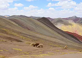 turistipercaso palcoyo_min