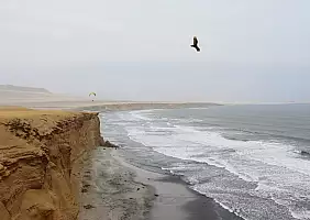 turistipercaso riserva_di_paracas_min